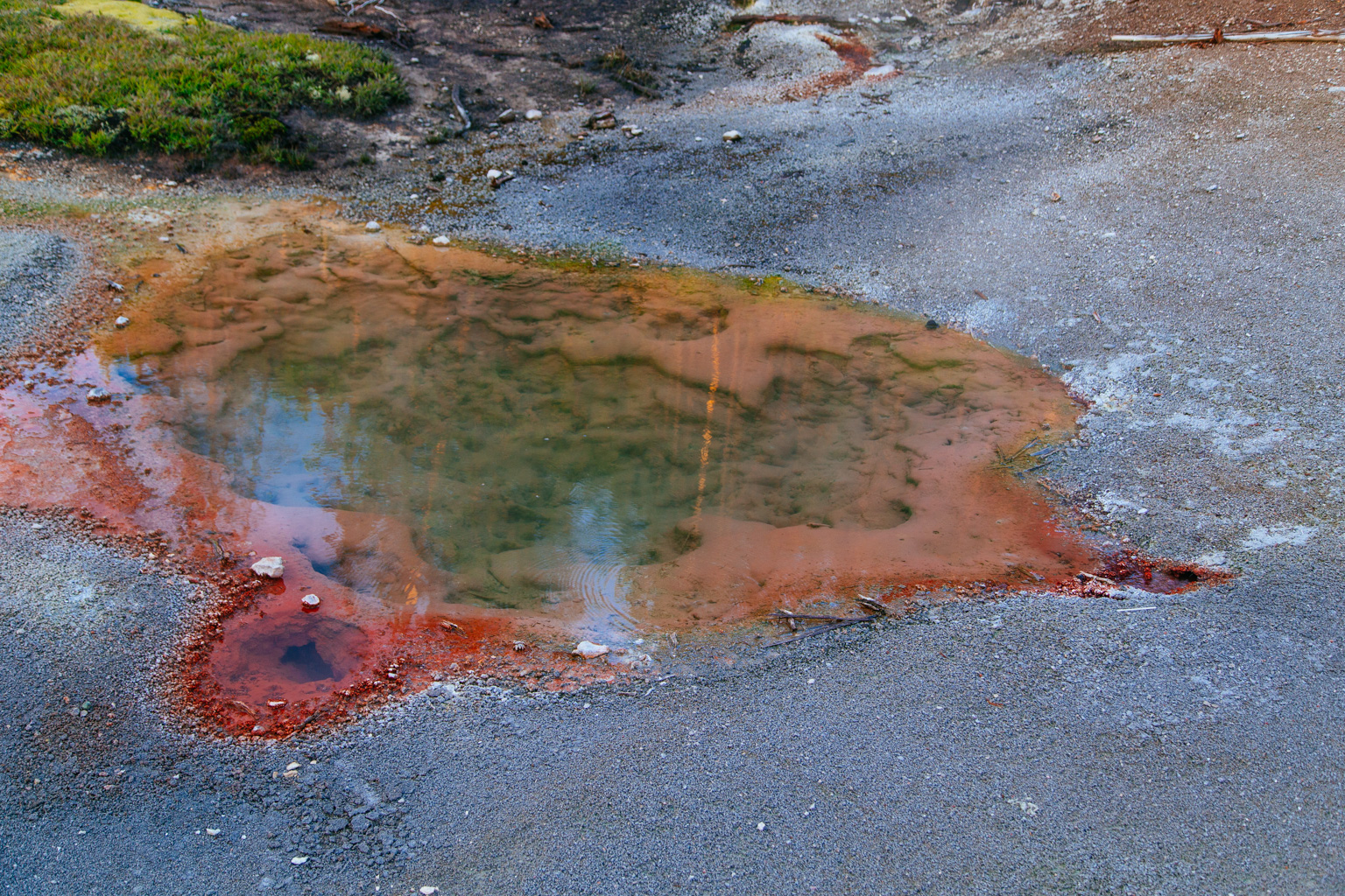 Hot Springs IV
