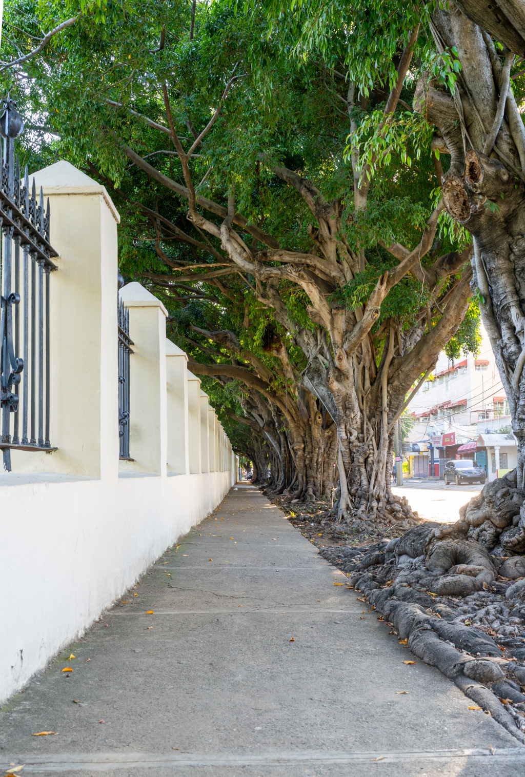 _DSC3100-HDR.dng