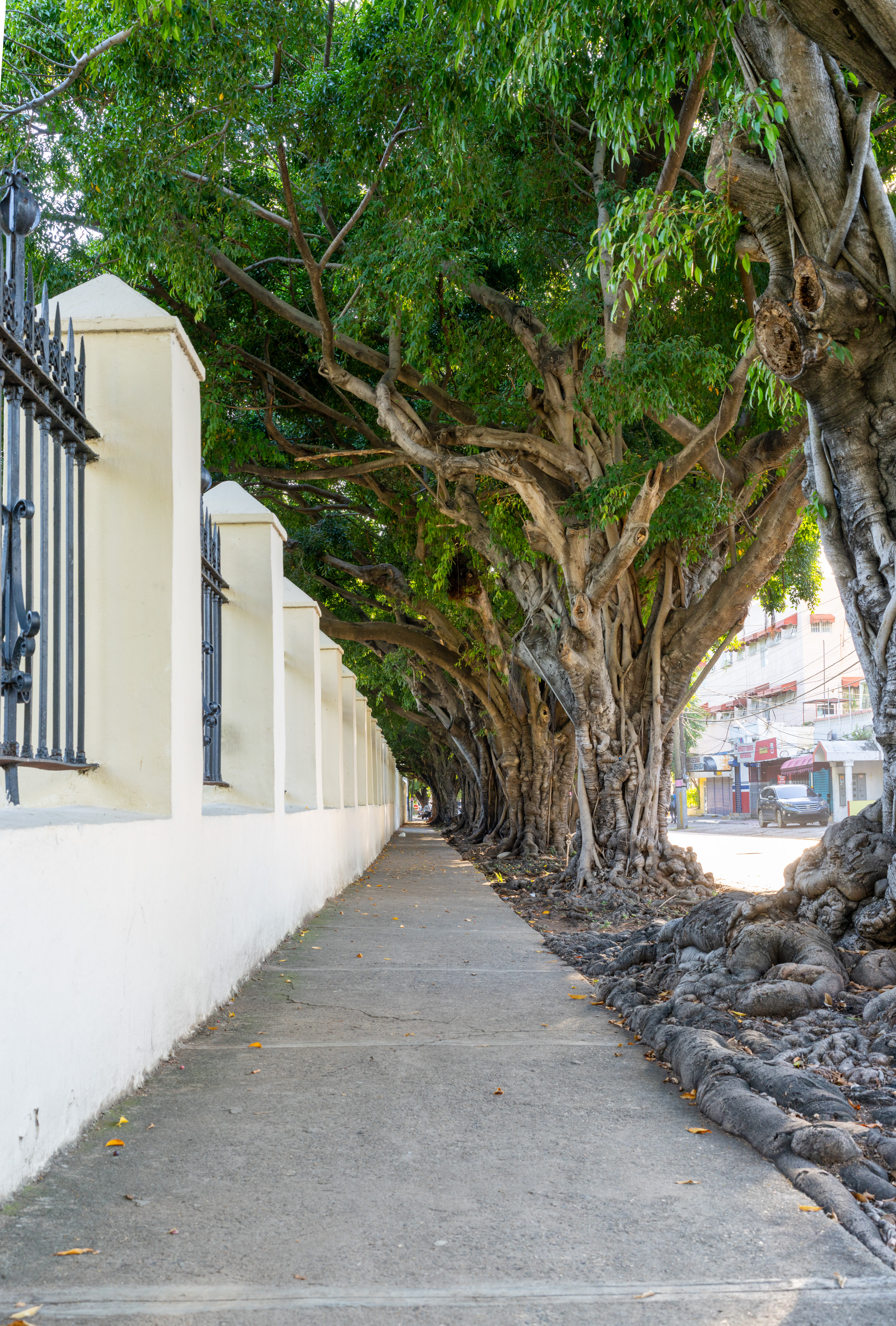 _DSC3100-HDR.dng