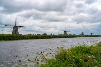_DSC2465.ARW