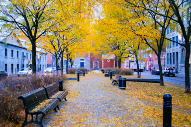 A street scene from Montreal