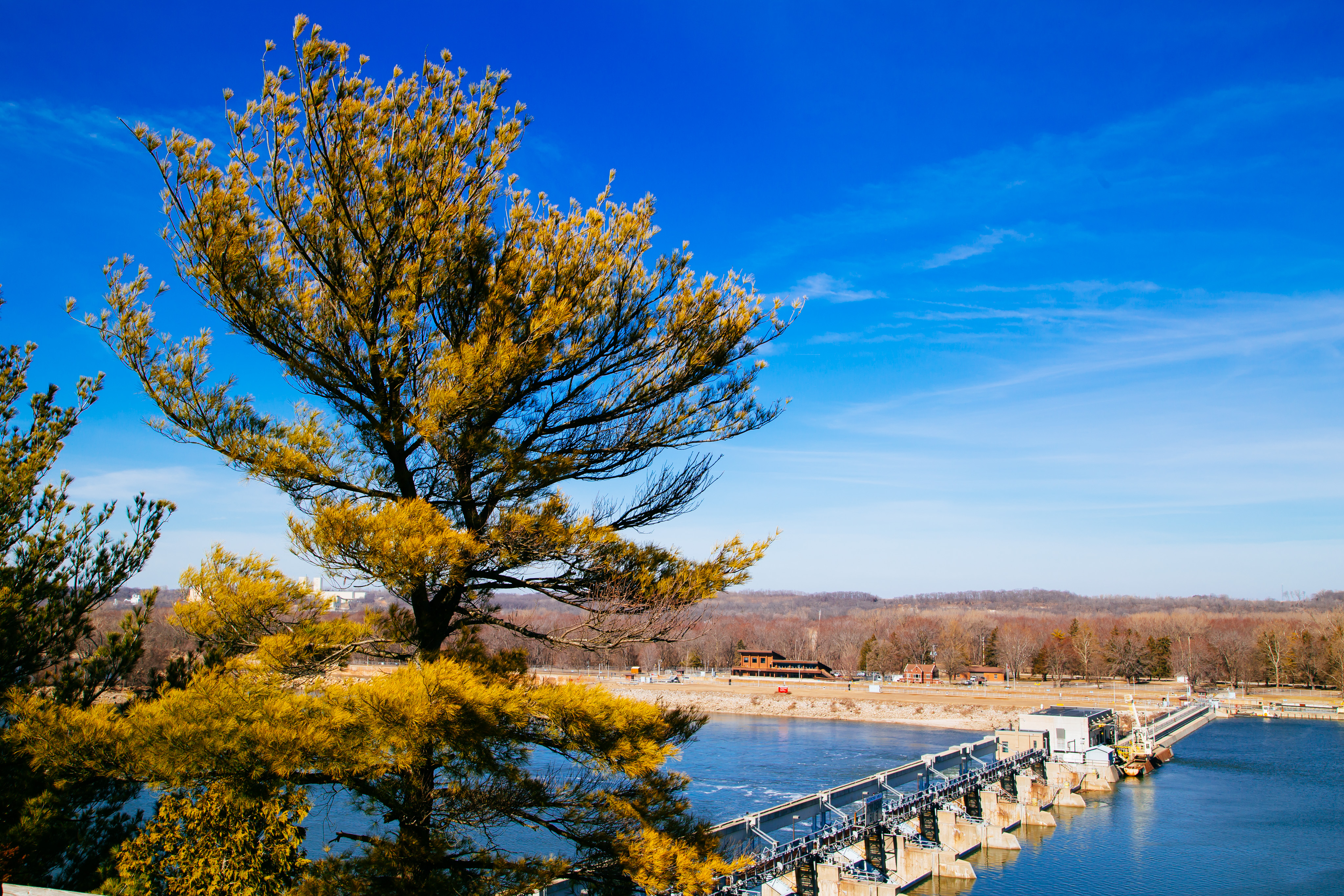 IMG_3167.CR2