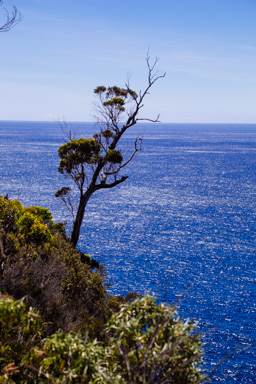 IMG_2930.CR2