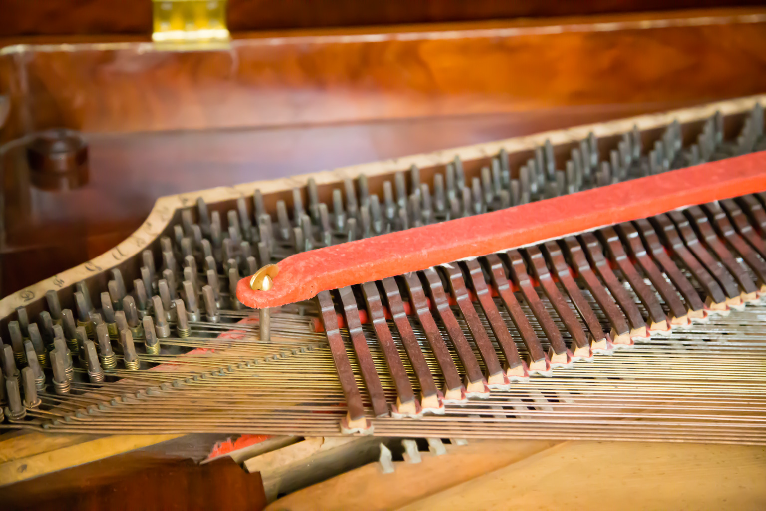 IMG_0840.CR2