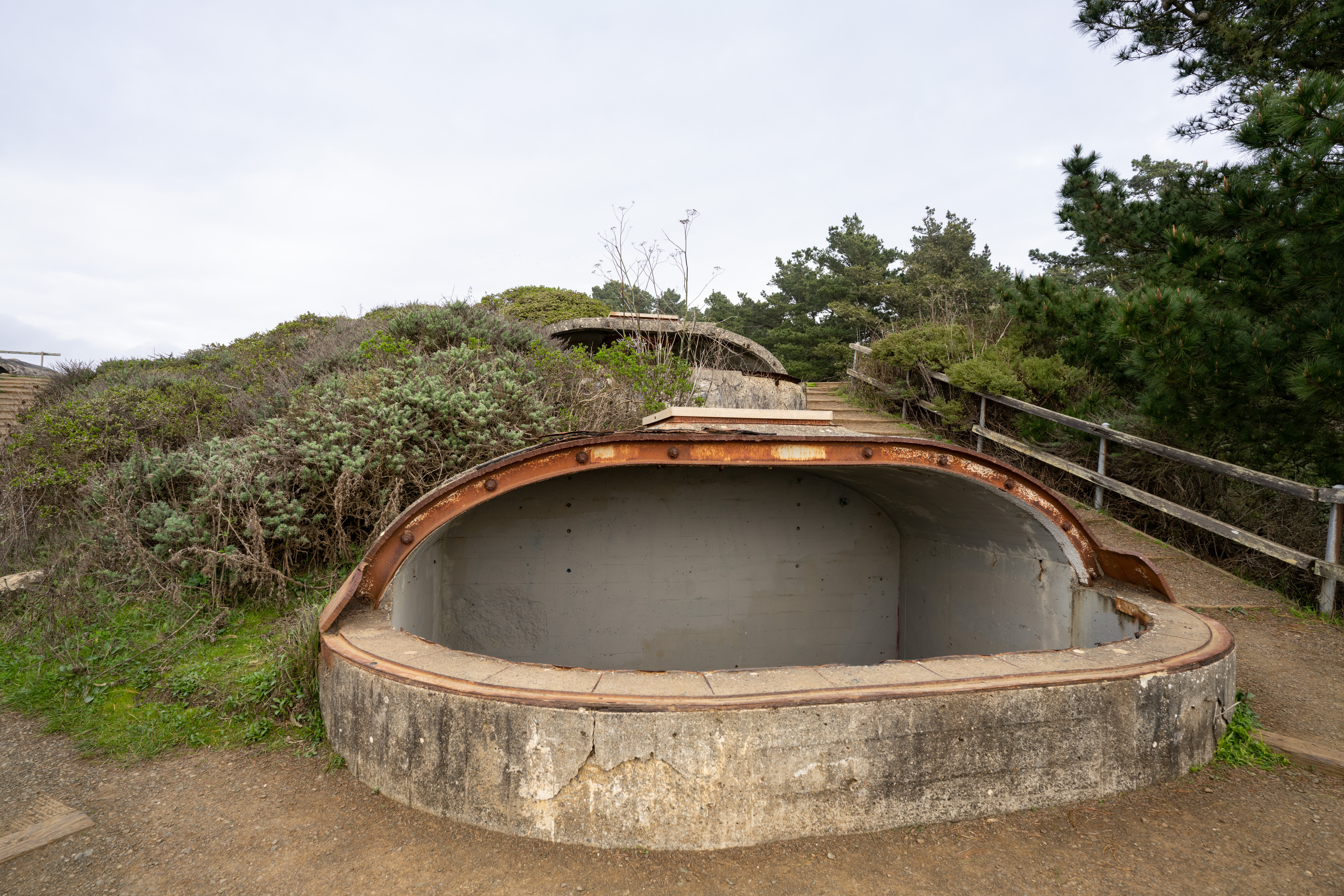 _DSC1151.ARW