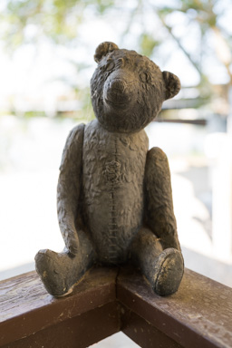 _DSC1697.ARW
