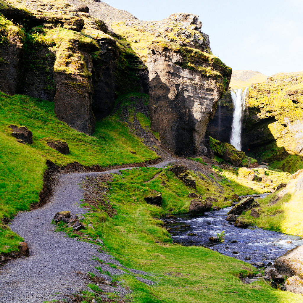 Path to a foss
