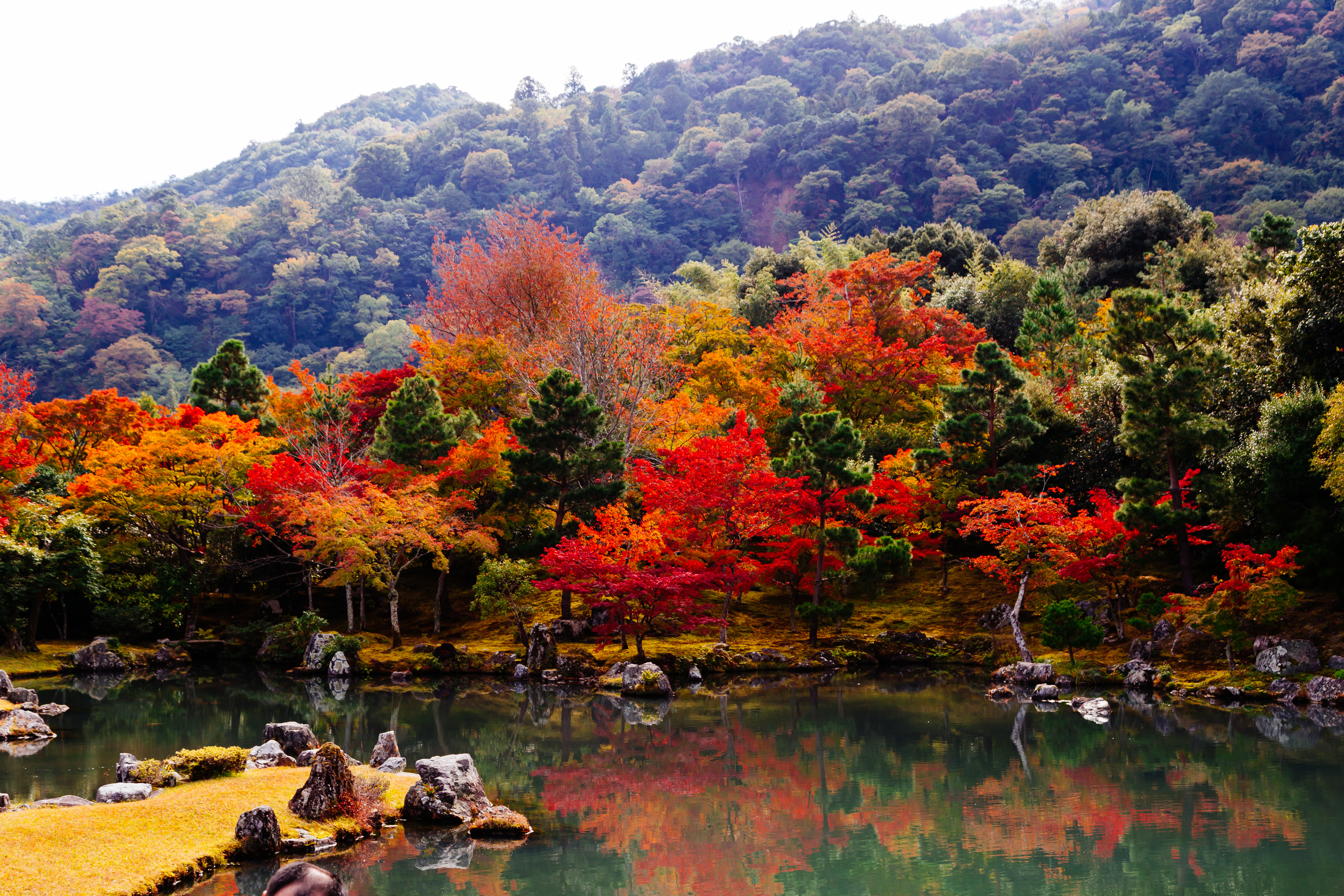 Kyoto fall III