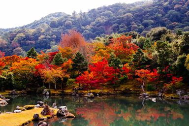 Kyoto fall III