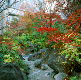 Small stream in a dense metropolis II