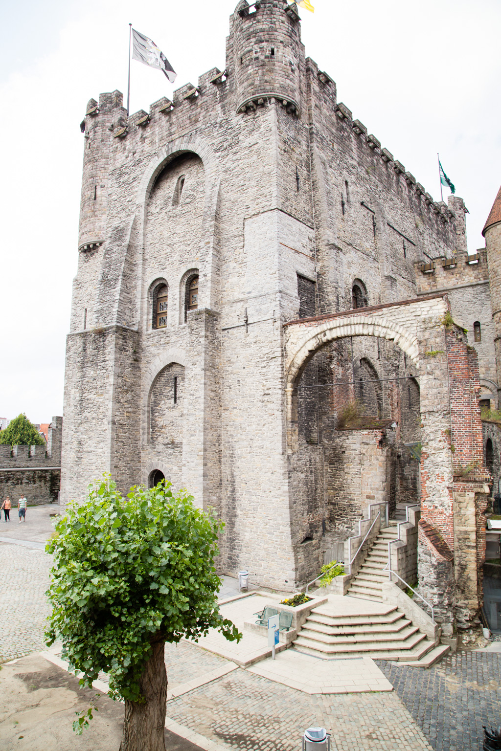 IMG_0704.CR2
