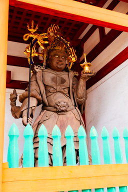 IMG_4709.CR2