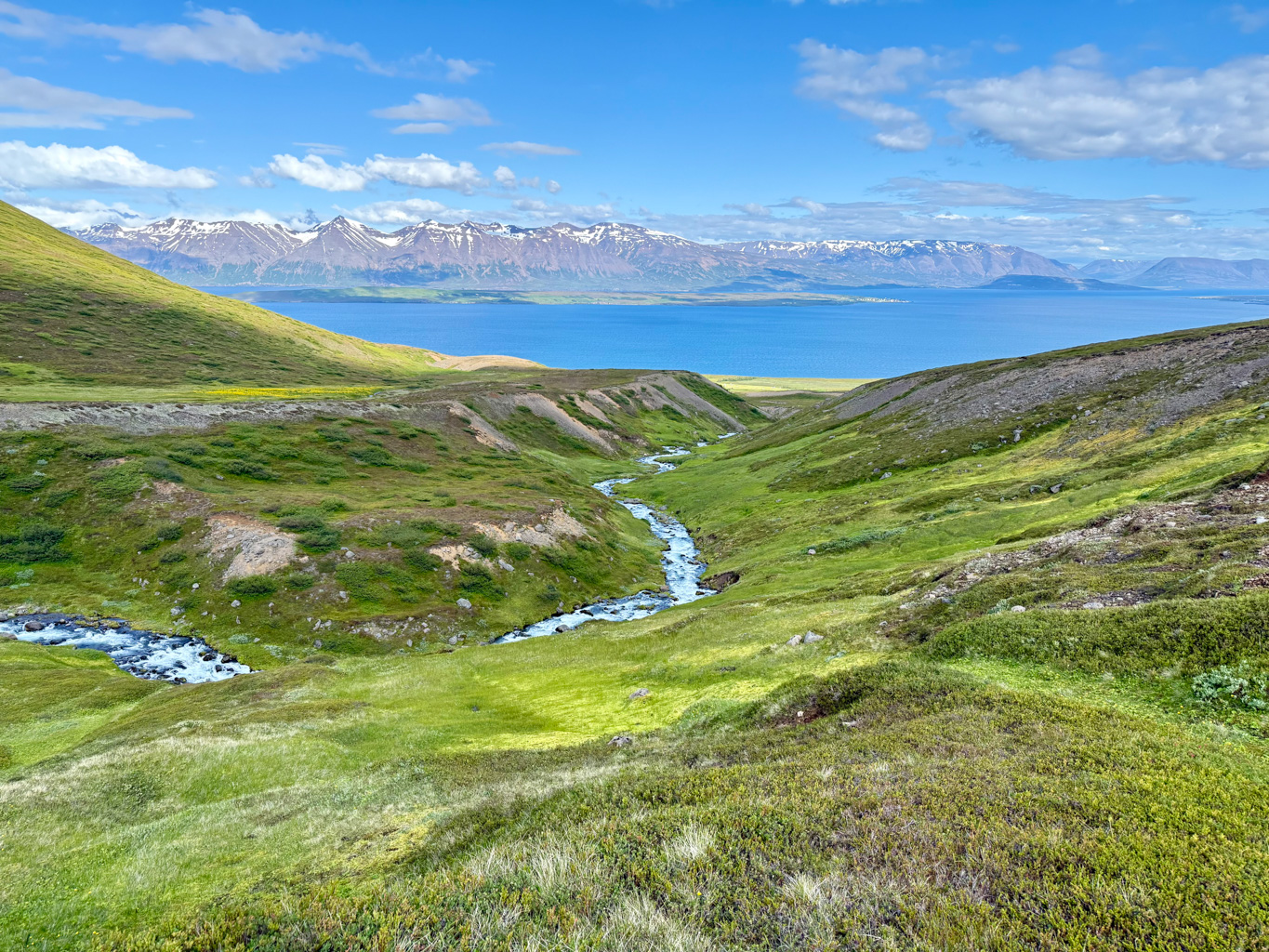 View to the fjord