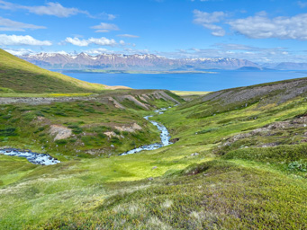 View to the fjord