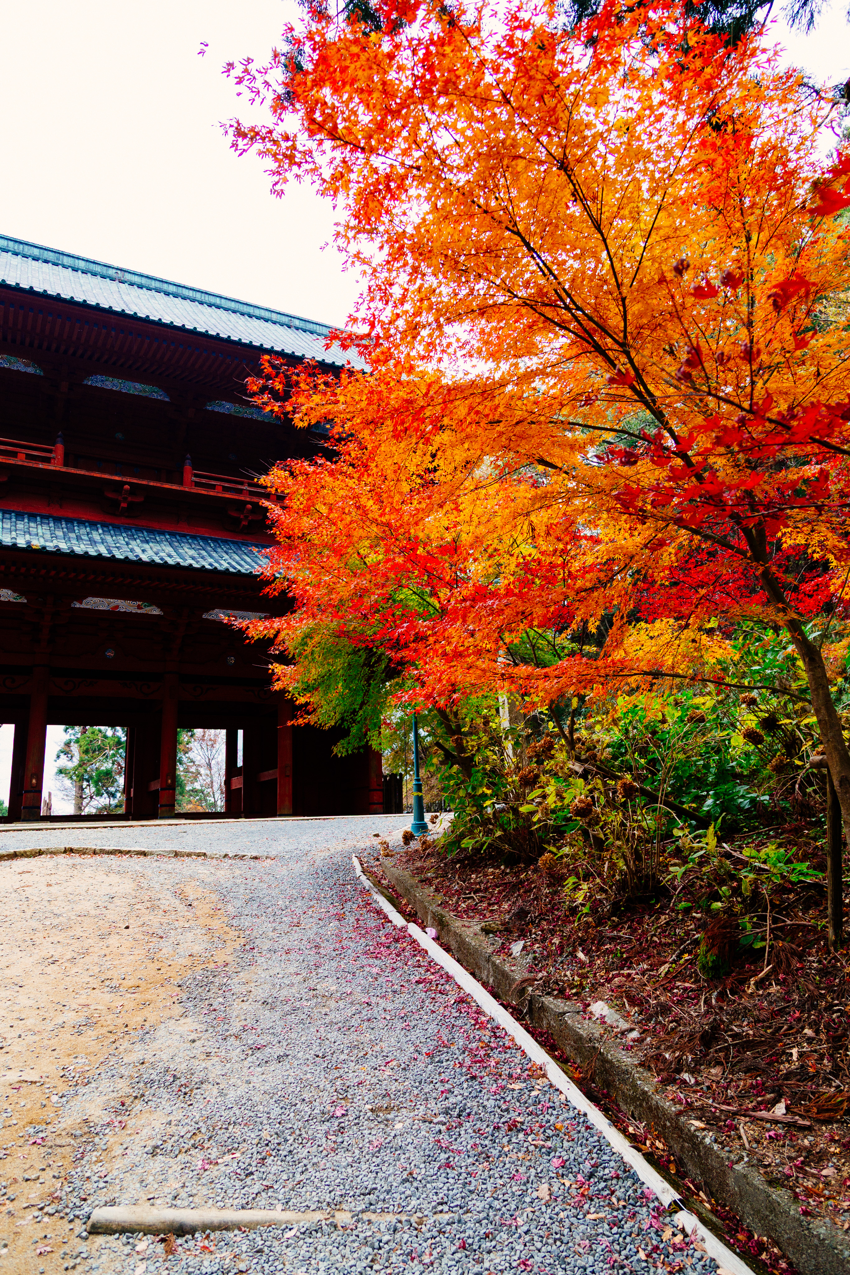 Fall on Koya-san