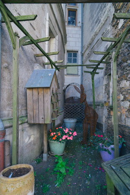 A garden between buildings