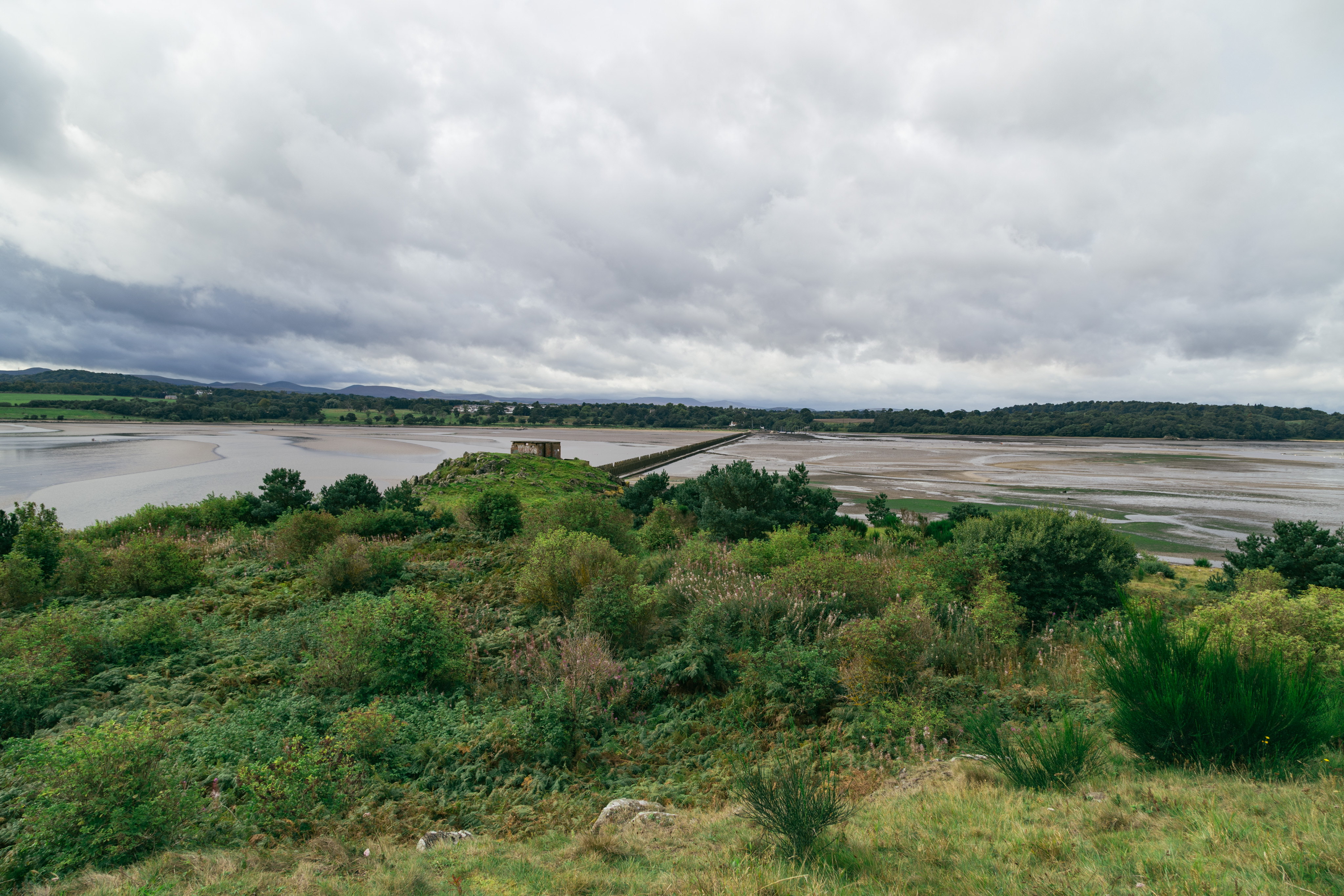 IMG_3710-HDR.dng