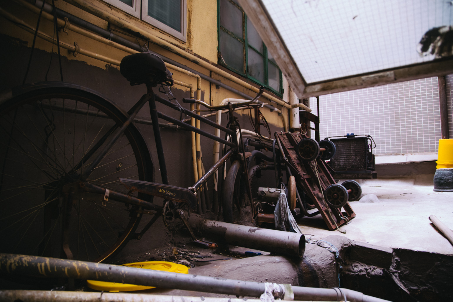 IMG_3136.CR2