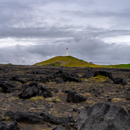 _DSC4739.ARW