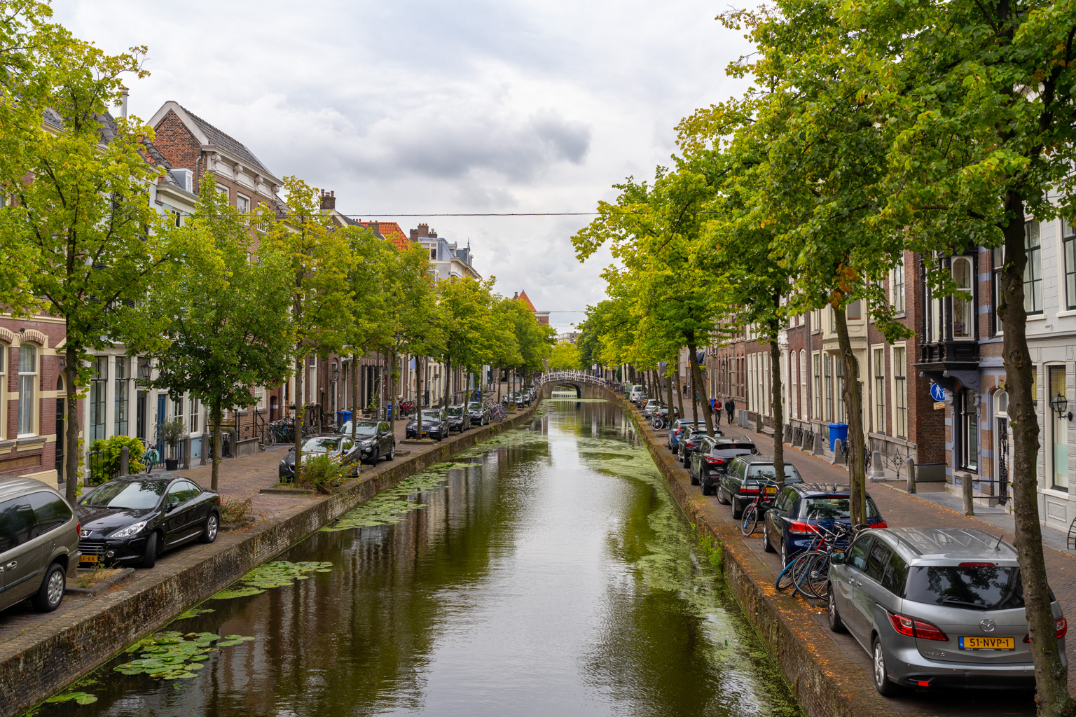 _DSC2593.ARW