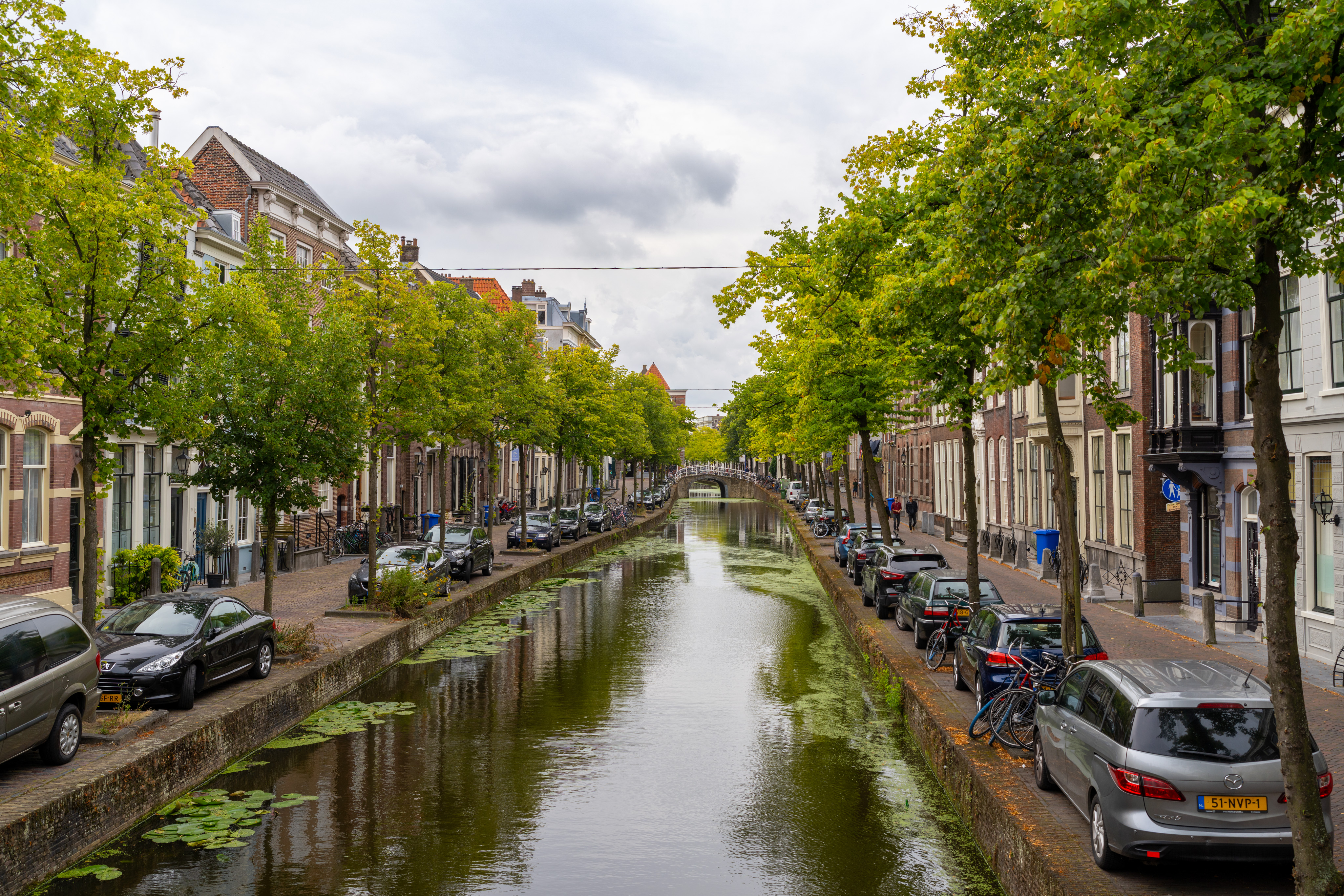 _DSC2593.ARW