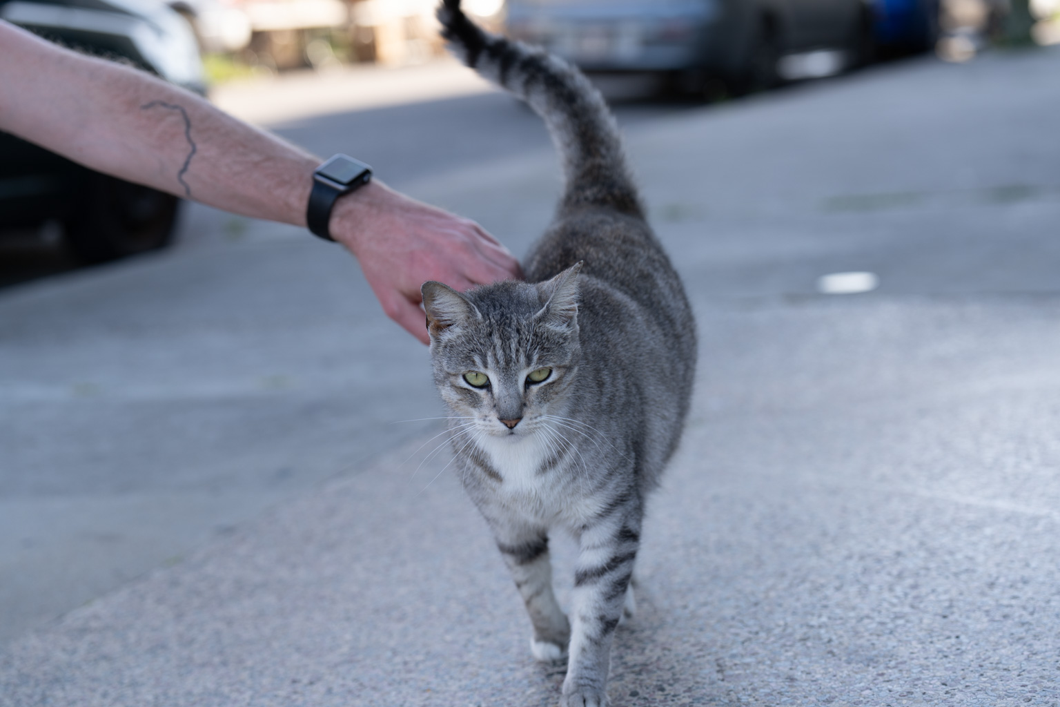 _DSC3578.ARW