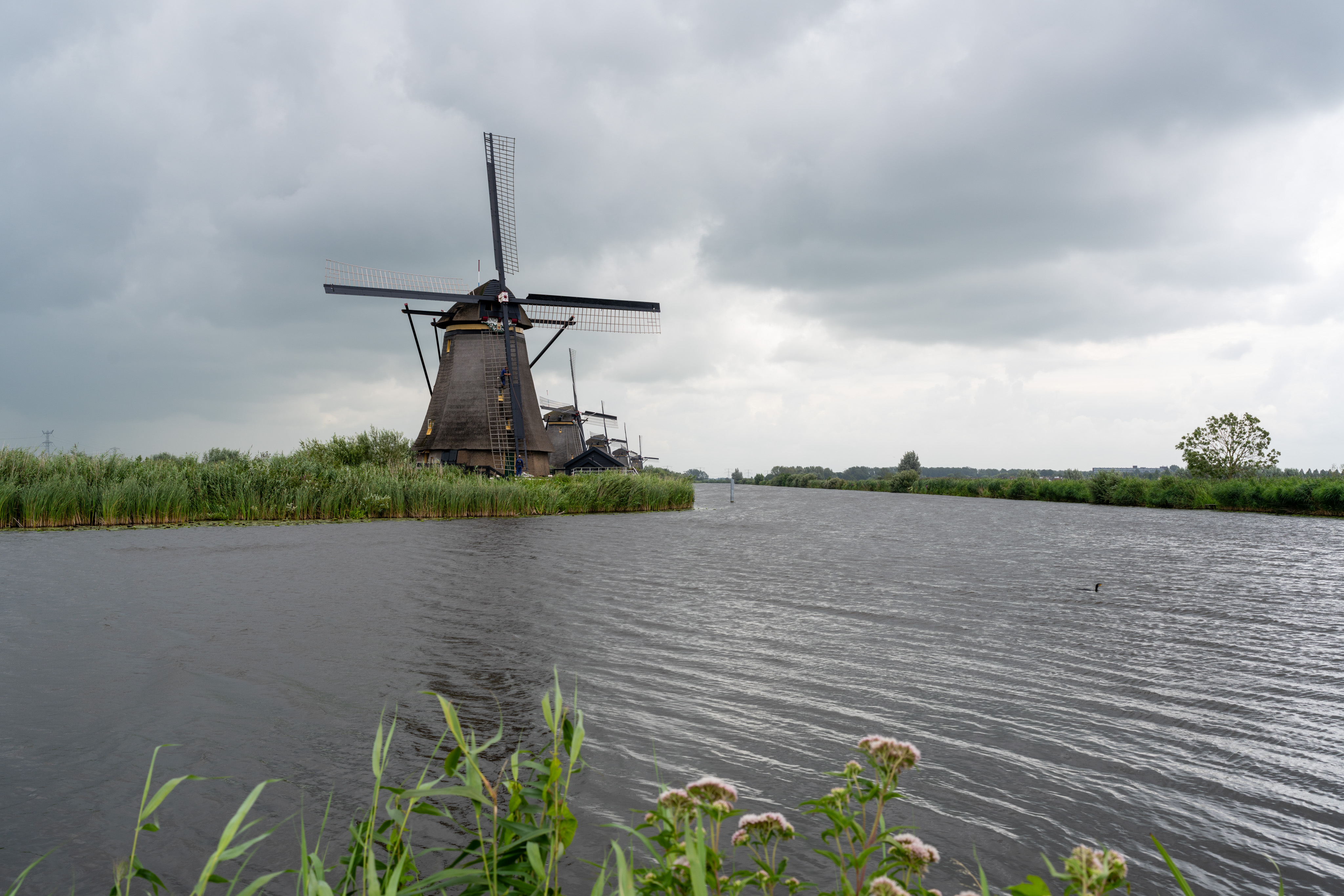 _DSC2434.ARW