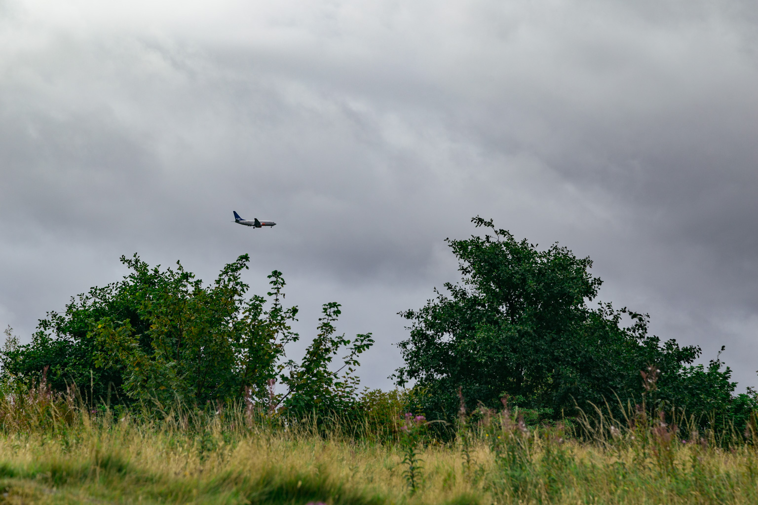 IMG_3762.CR2