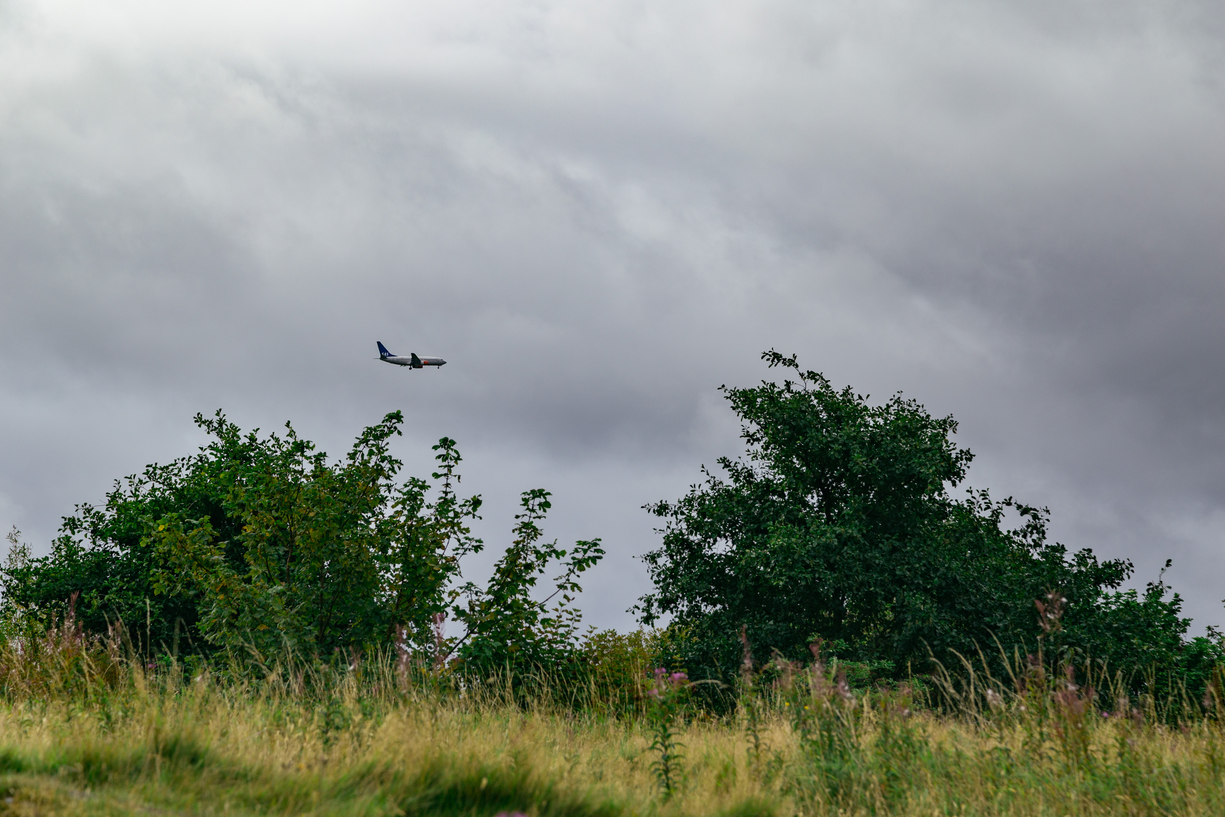 IMG_3762.CR2