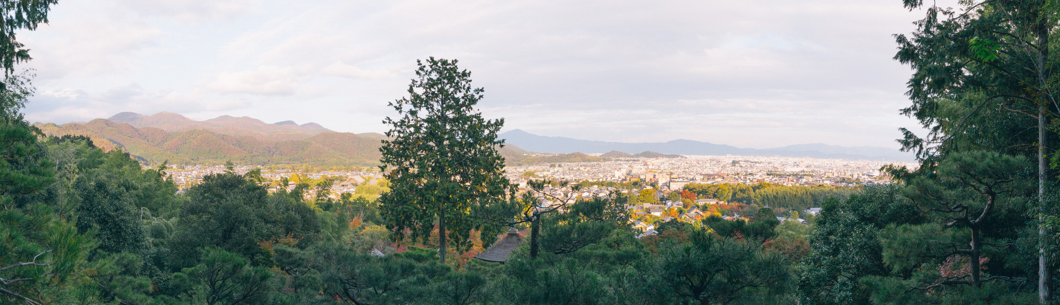 IMG_4424-Pano.dng