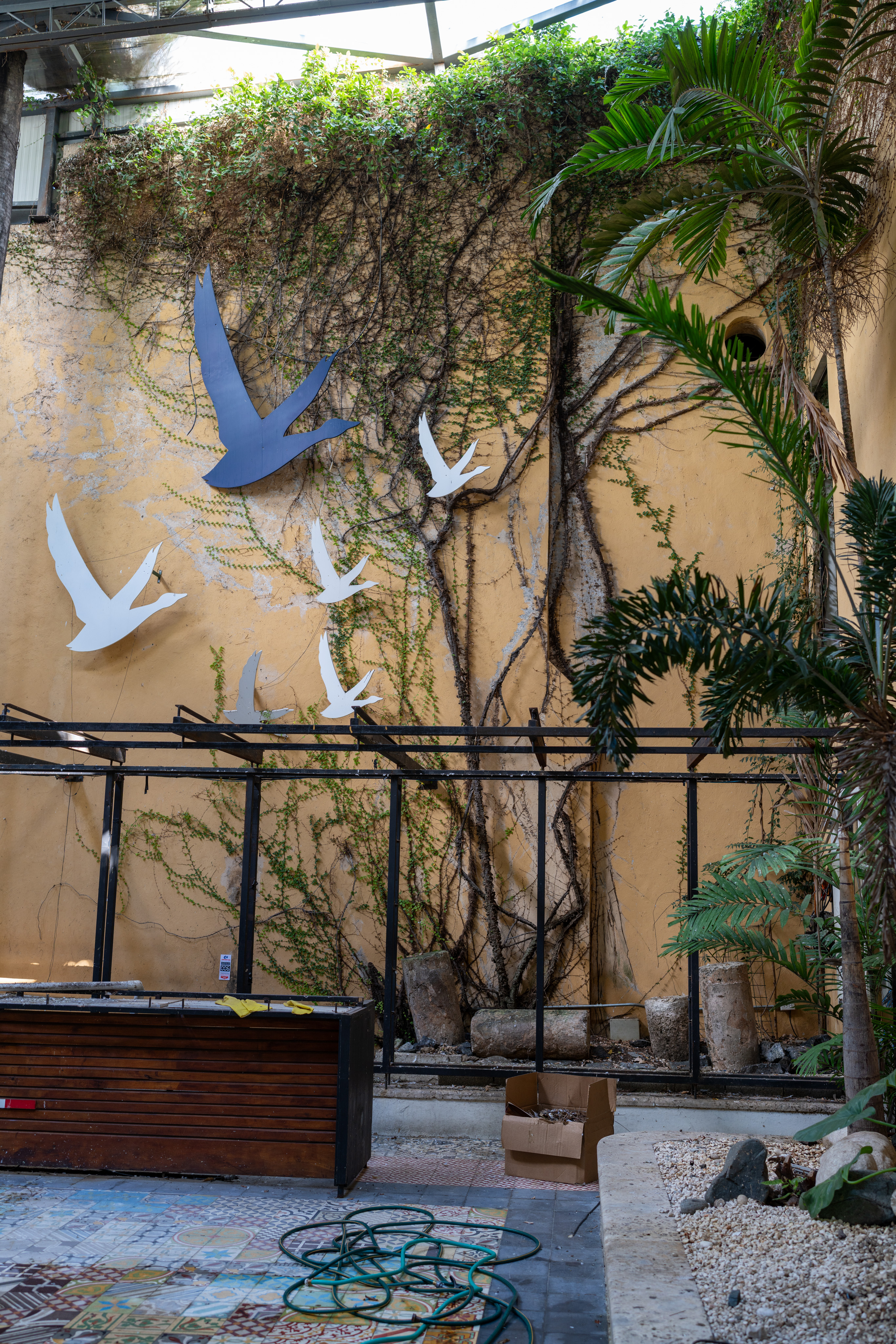 _DSC3049.ARW