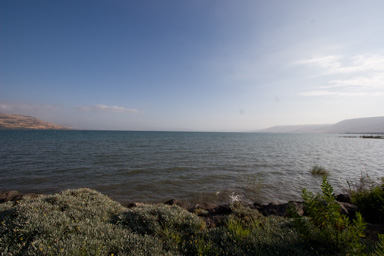 _MG_8045.CR2