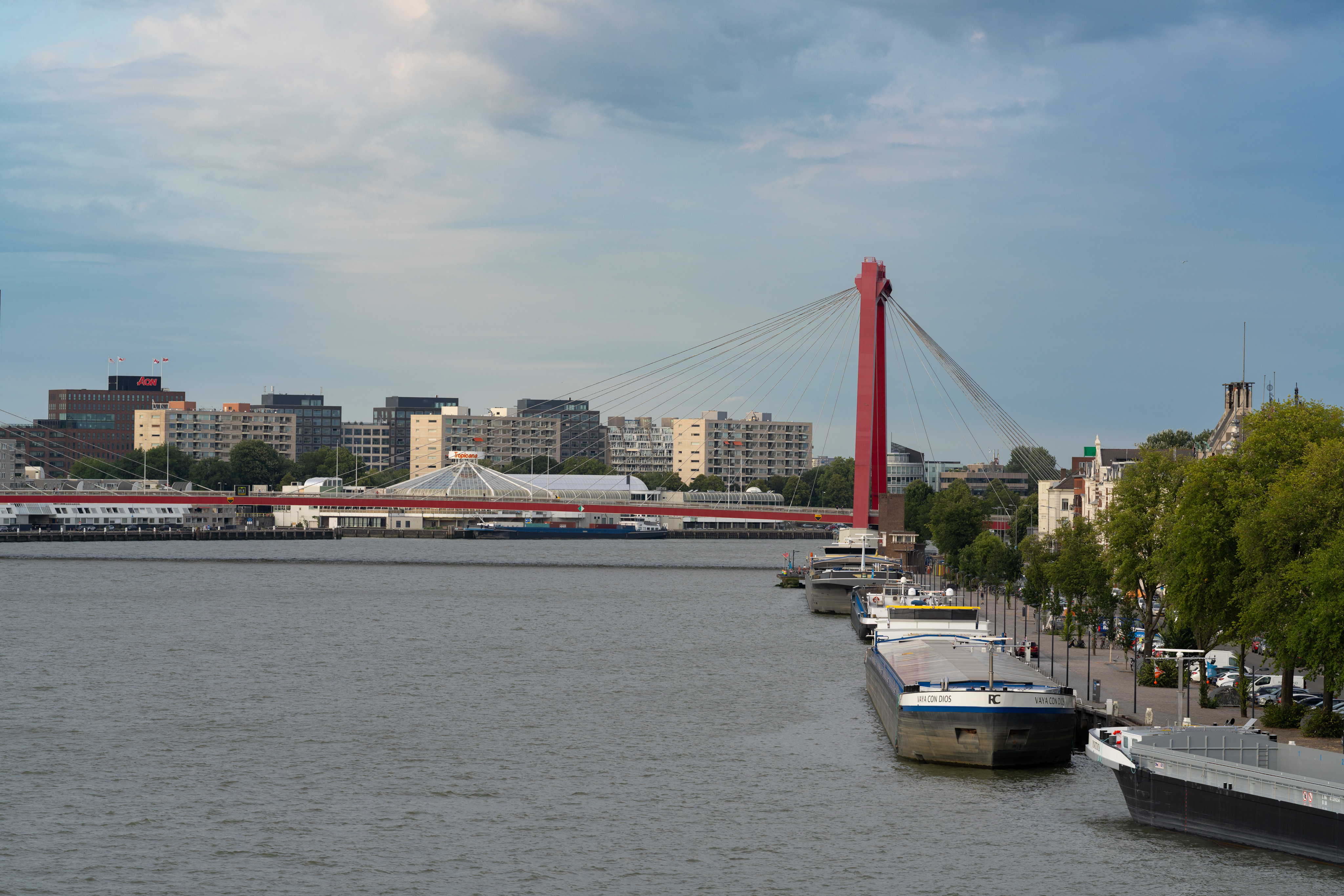 _DSC2251.ARW