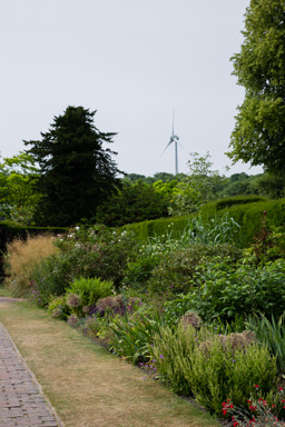 IMG_0306.CR2