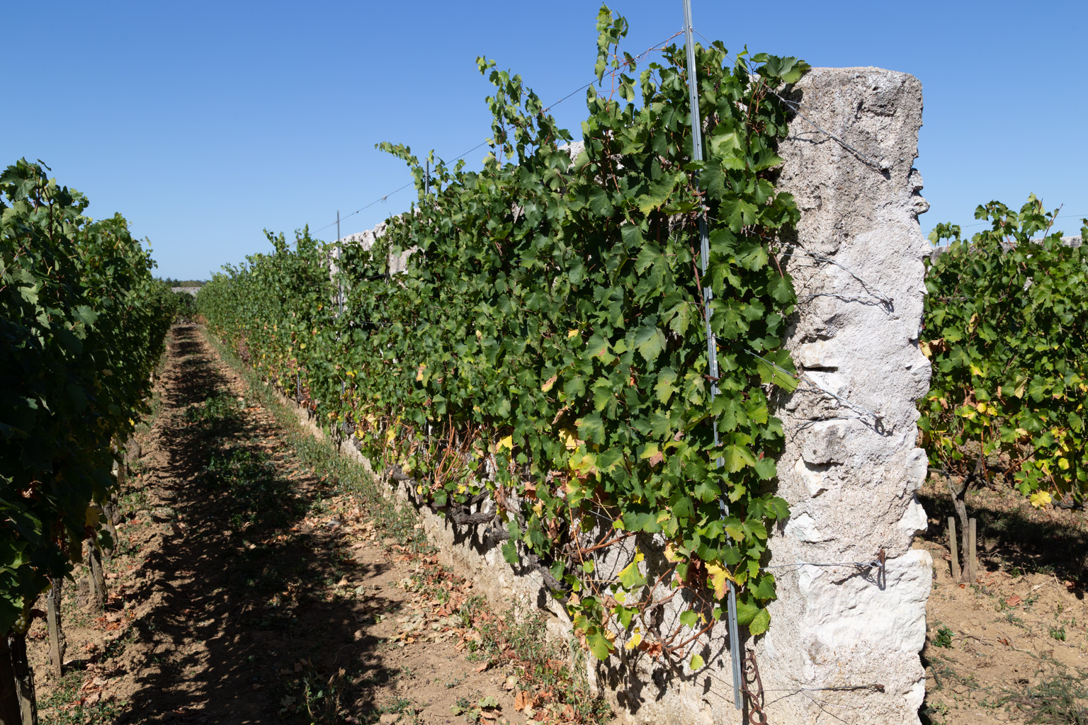 d'entre les murs I