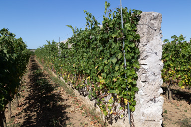 d'entre les murs I