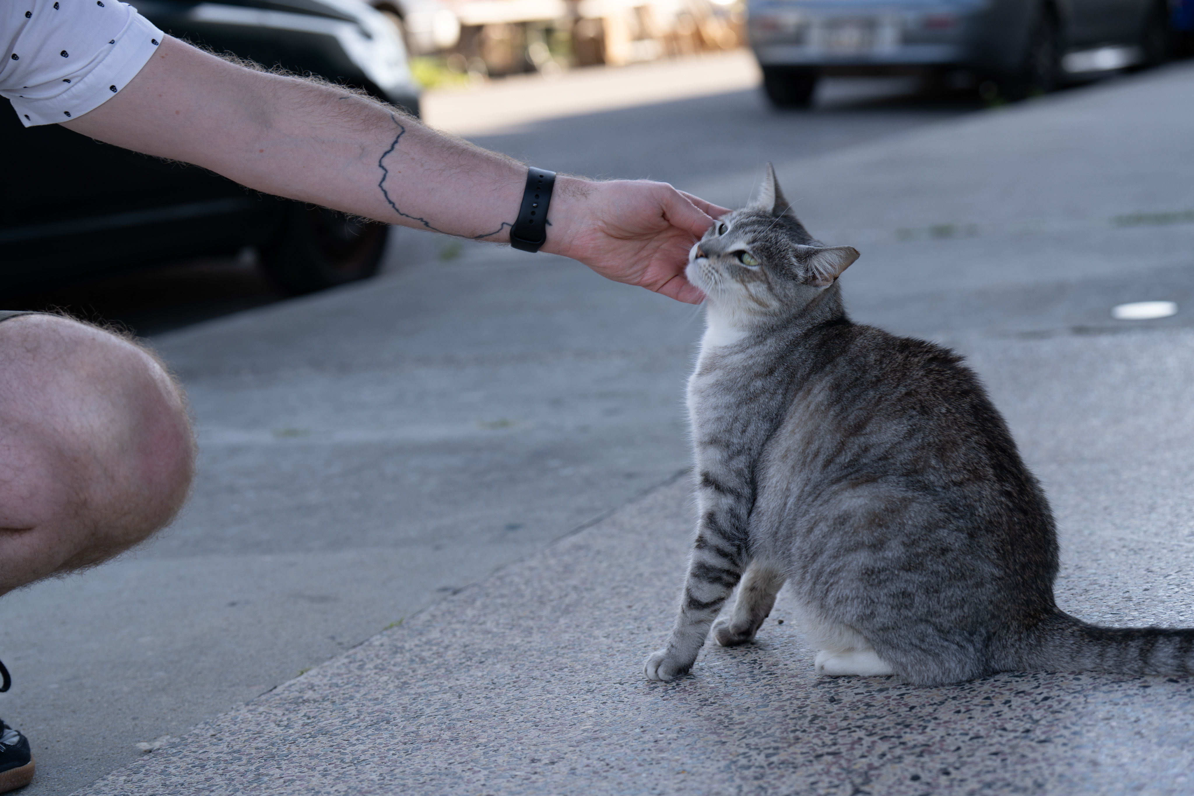 _DSC3569.ARW