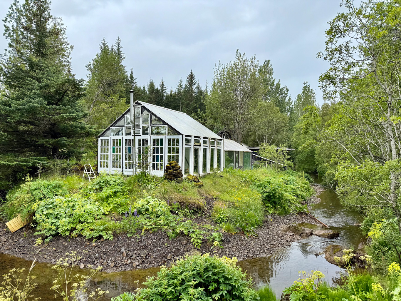 Greenhouse on a forest wander