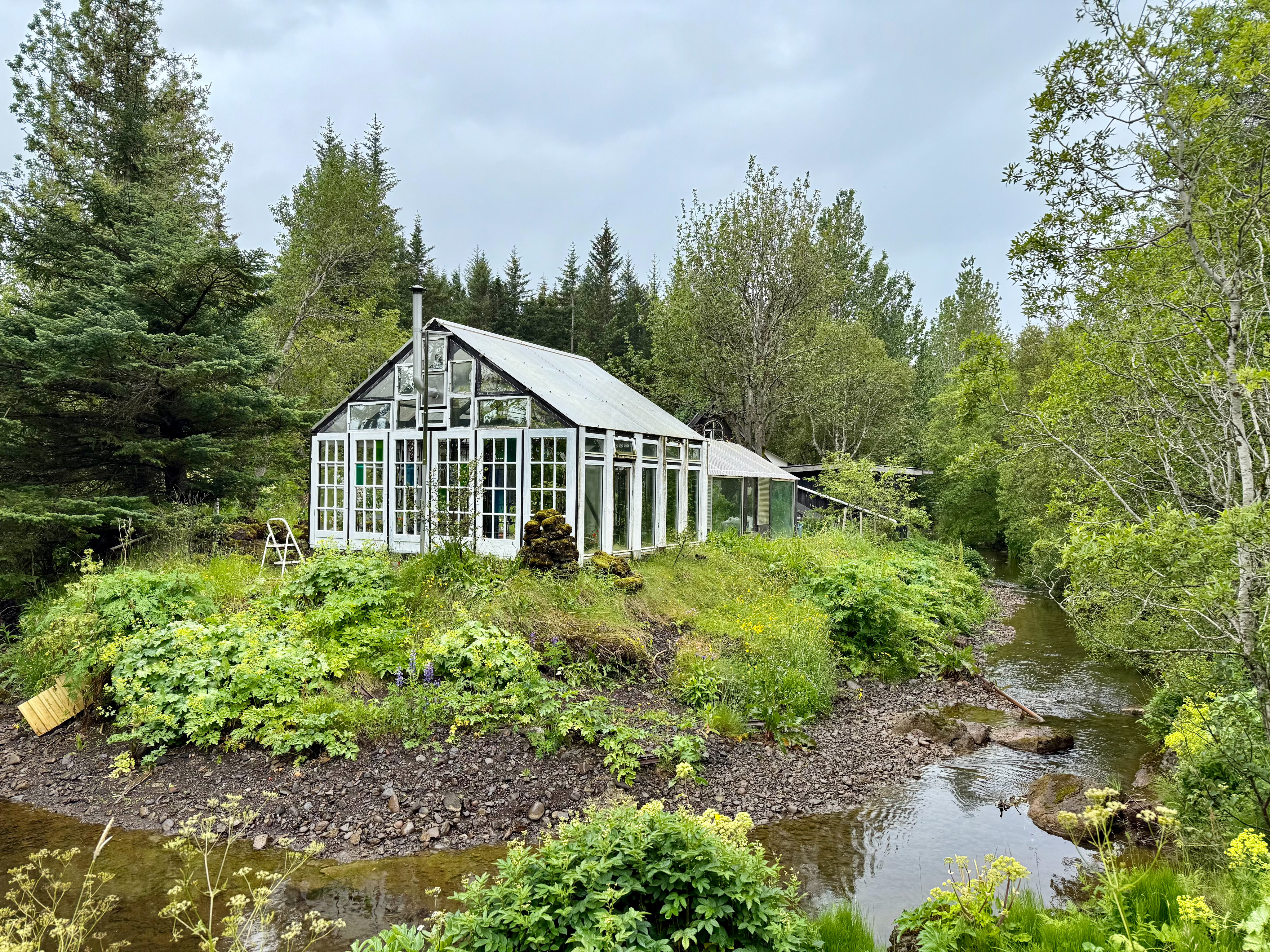 Greenhouse on a forest wander