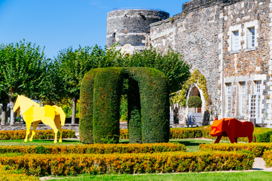 La ménagerie de René