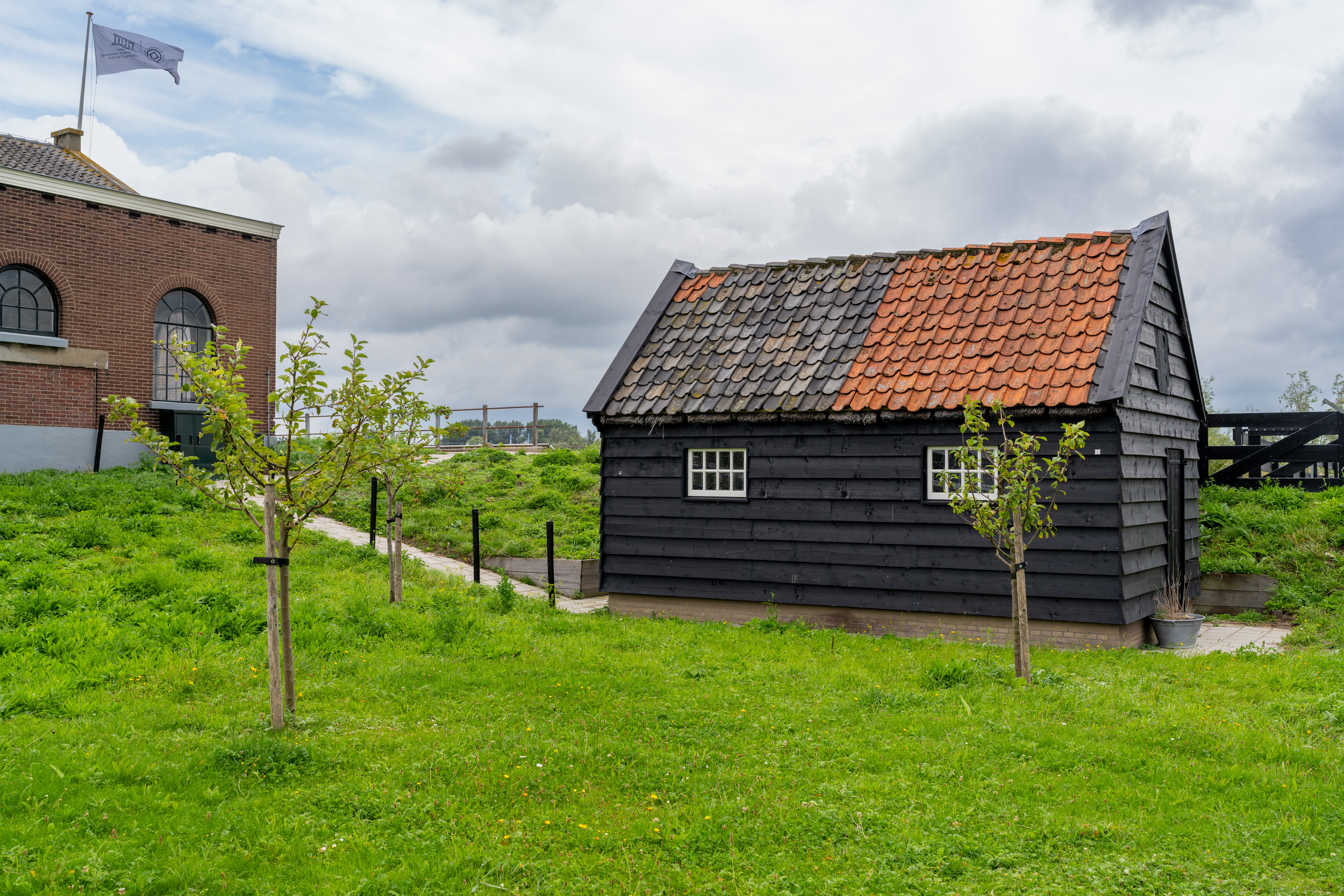 _DSC2387.ARW