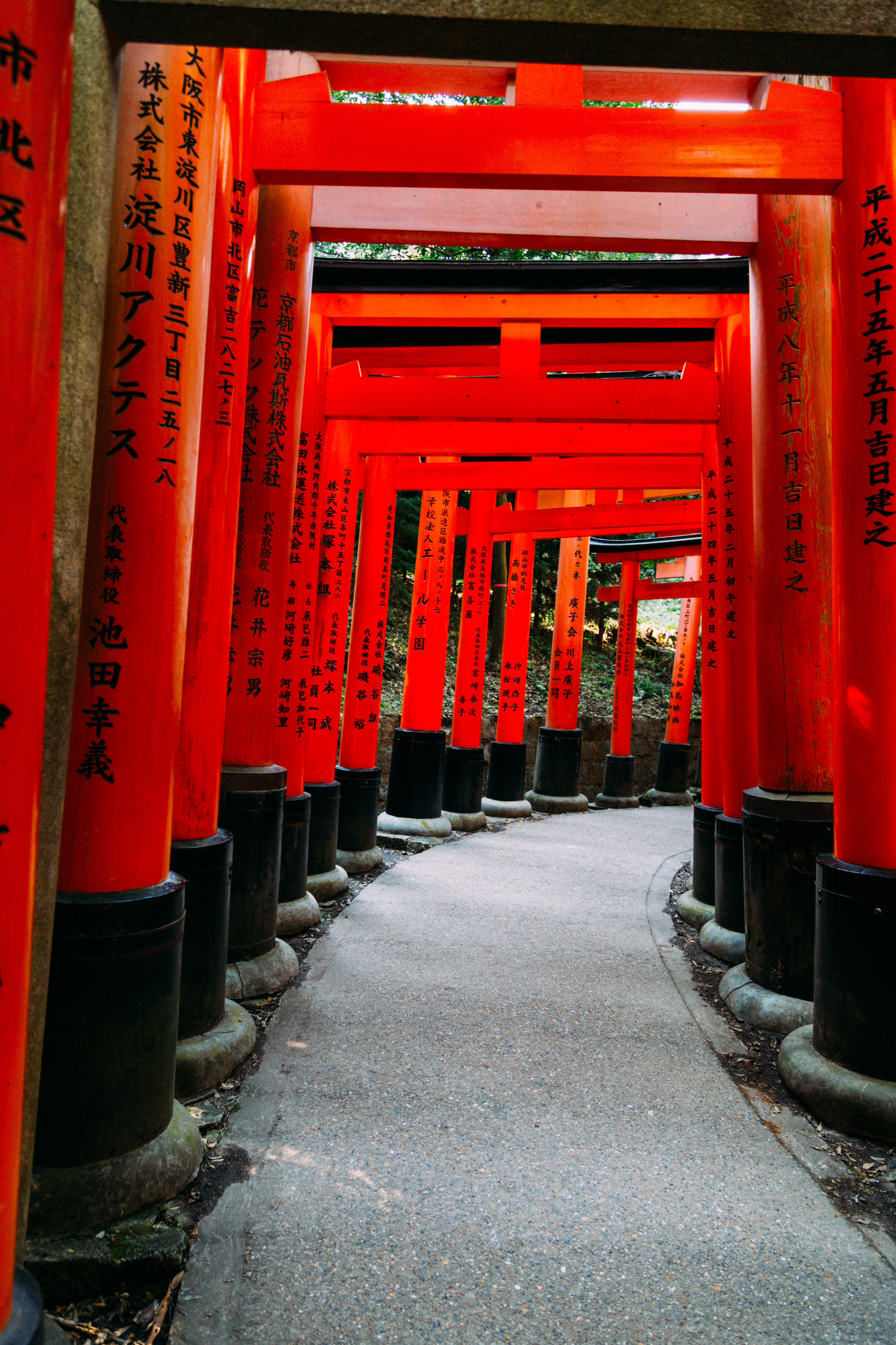 Torii at Fushimi Inari-taisha