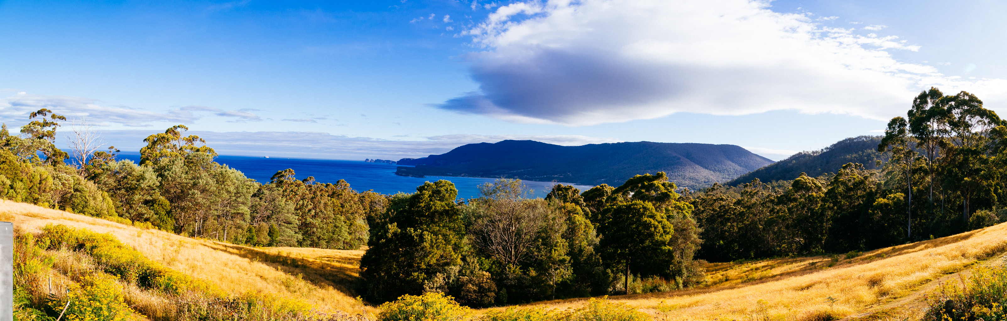 IMG_2698-Pano.dng