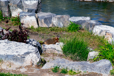 IMG_5148.CR2