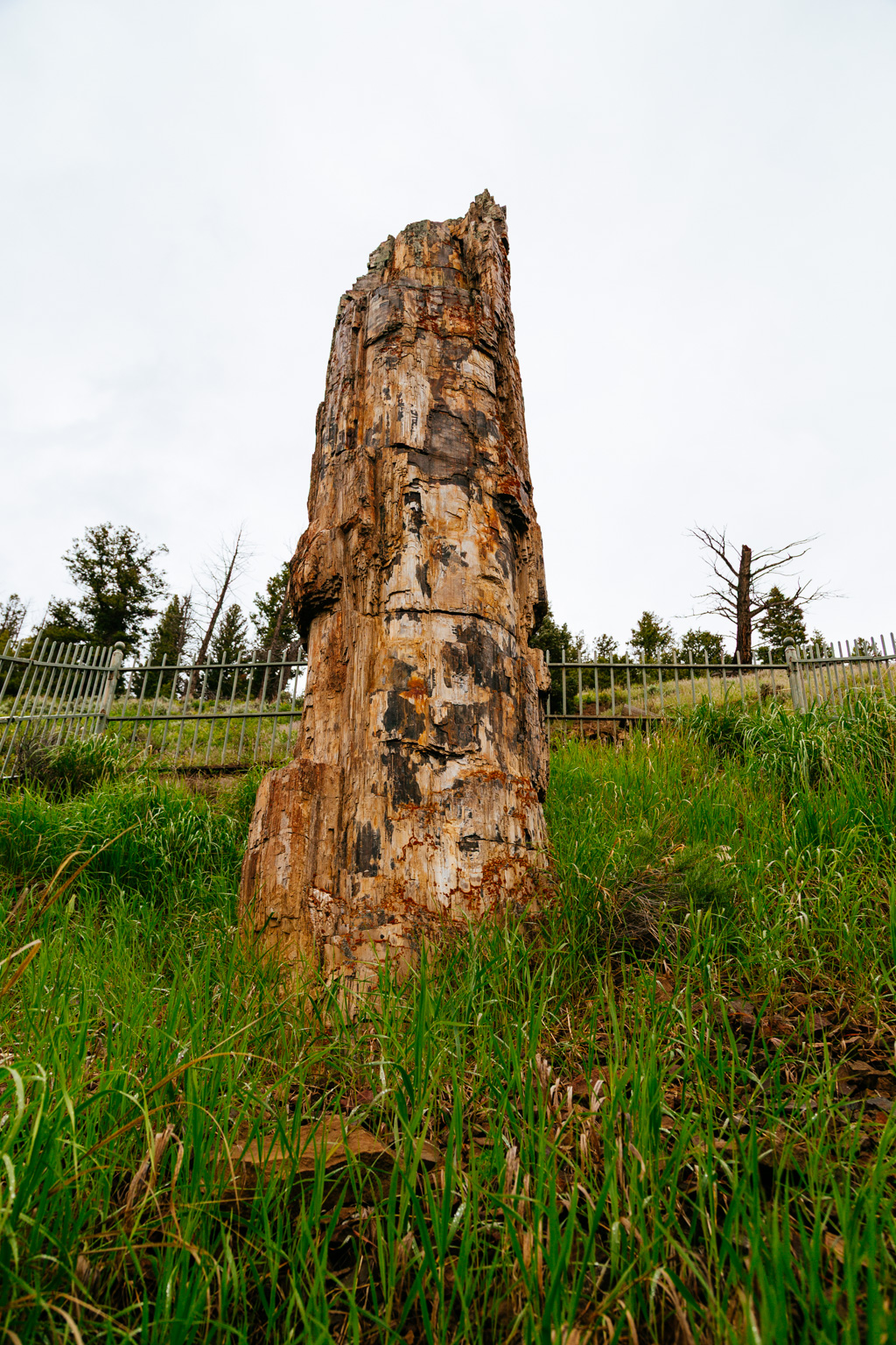 IMG_5316.CR2