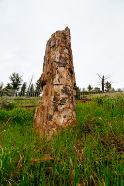IMG_5316.CR2