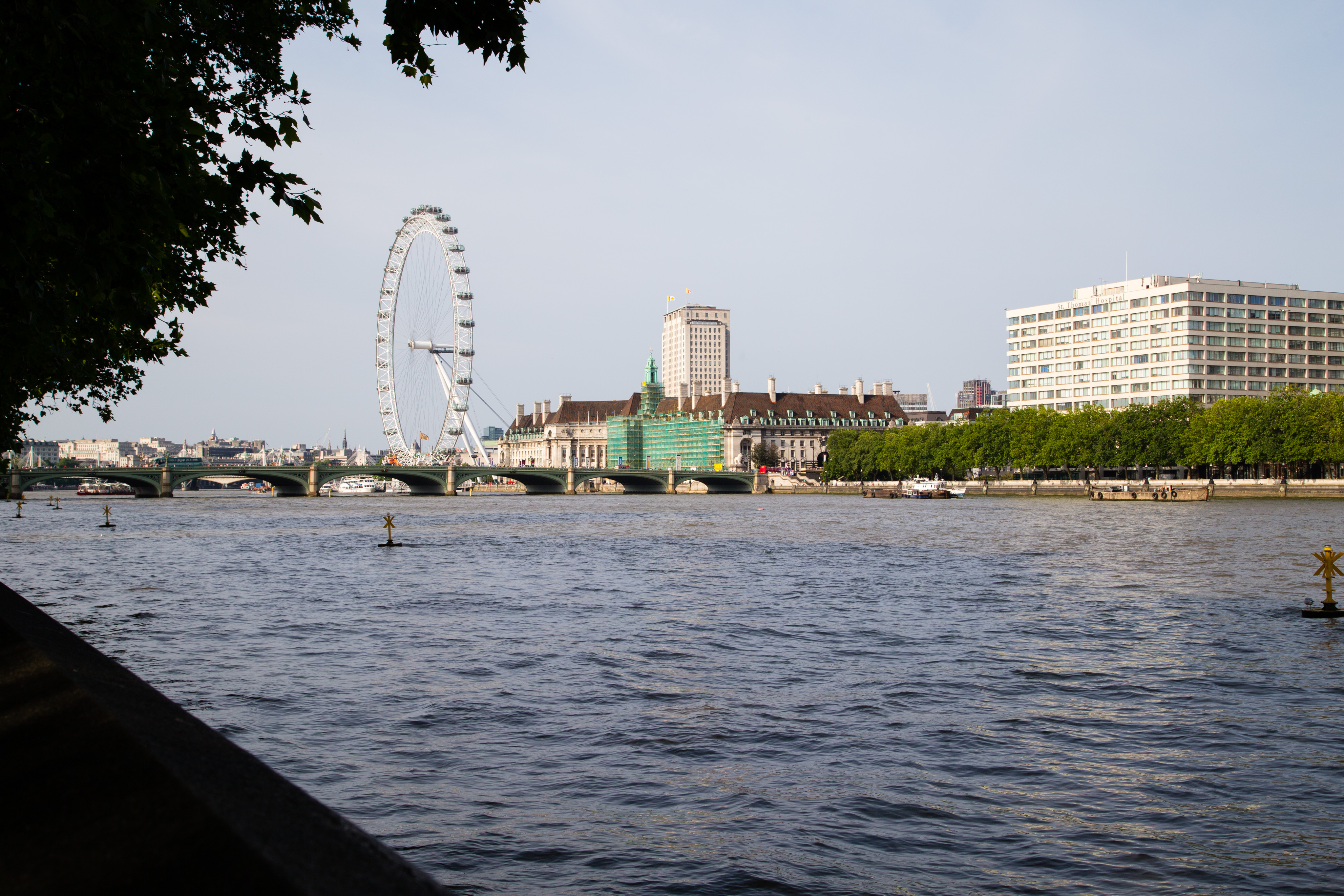 IMG_0188.CR2