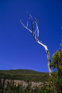 Reach for the vast blue exapnse