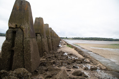 IMG_3703.CR2