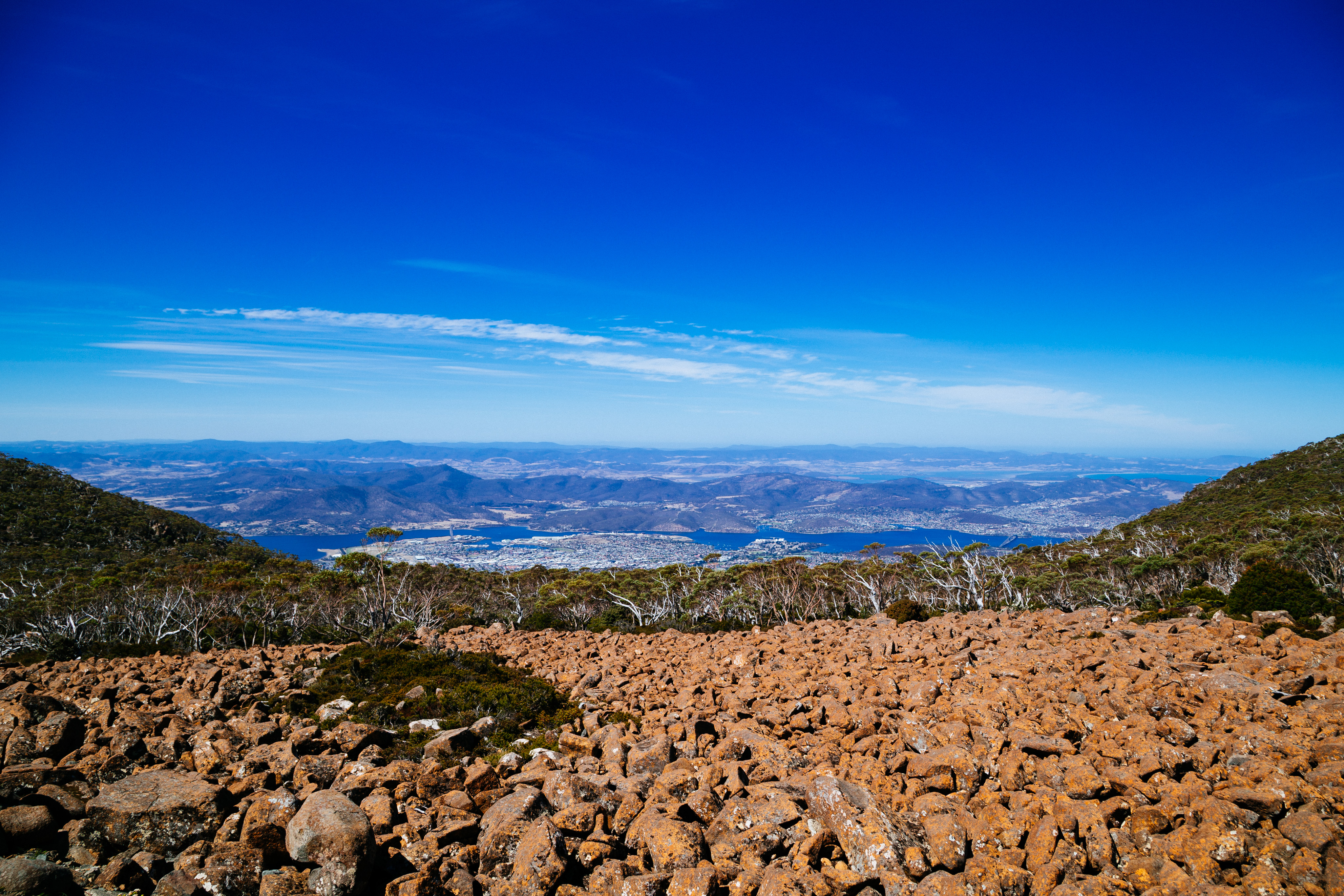IMG_2960.CR2